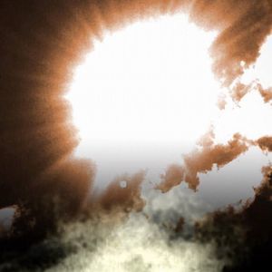 Meet your Posher, Julian